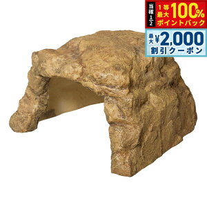 y12/5II100|CgobNő2000~OFFN[|zXh[ bNVF^[SP L2