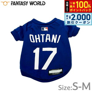 y12/10II100|CgobNő2000~OFFN[|zMLBF T[X hW[X JĕI胂f TVc S-M u[yz  m hbOEFA jtH[ 