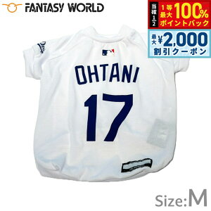 y12/10II100|CgobNő2000~OFFN[|zMLBF T[X hW[X JĕI胂f TVc M zCgyz  m hbOEFA jtH[ 