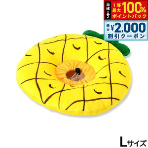 y12/5II100|CgobNő2000~OFFN[|zSolgra pC y[uJ[NbV L CG[ GUxXJ[  L \tg _炩