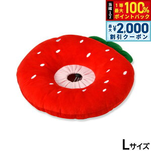 y12/5II100|CgobNő2000~OFFN[|zSolgra  y[uJ[NbV L bh GUxXJ[  L \tg _炩