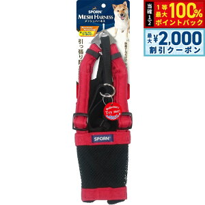 y12/10II100|CgobNő2000~OFFN[|zSPORN bVn[lX M bh  h~ ċzrȂ肪ȒZ@ɓɂ߁I NbVX[uD