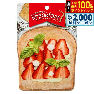 y12/5II100|CgobNő2000~OFFN[|zPLATZ  ubNt@[Xg Xgx[   ʂ g[Xg  y ₷ 