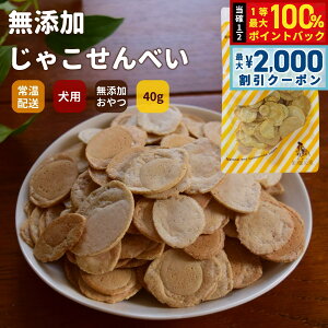 y12/10II100|CgobNő2000~OFFN[|zGLORY DOGEARTH Y Ⴑׂ 40g