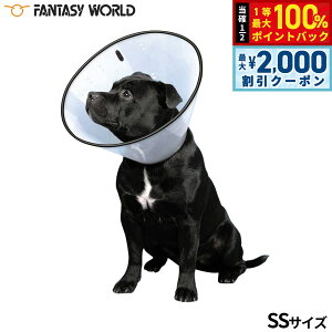 y12/5II100|CgobNő2000~OFFN[|zt@^W[[h VETJ[ SS NA GUxXJ[   ی  L