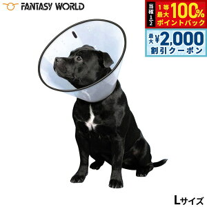 y12/5II100|CgobNő2000~OFFN[|zt@^W[[h VETJ[ L NA GUxXJ[   ی  L