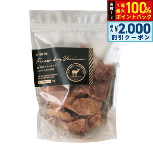 y12/5II100|CgobNő2000~OFFN[|zzCgtHbNX ̃t[YhC 120g  L  育 gbsO Y Y F ۑsgp