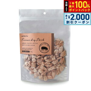 y12/10II100|CgobNő2000~OFFN[|zzCgtHbNX Ό|[Ñt[YhC 120g  L  育 gbsO Y Y F ۑsgp