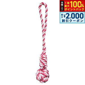 y12/5II100|CgobNő2000~OFFN[|zEBC^[iVi Ђς胍[v{[ sN