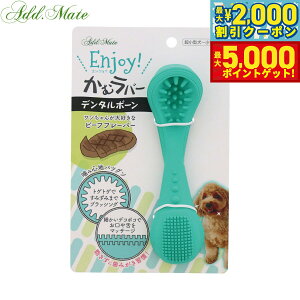 y1310Iő5000ptobNő2000~OFFN[|IzAhCg p EnjoyIރo[ f^{[