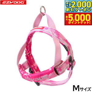 y1310Iő5000ptobNő2000~OFFN[|IzC[W[hbO EZYDOG NCbNn[lX M sNJyz ȒP  ^