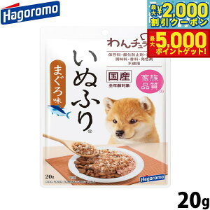 y1310Iő5000ptobNő2000~OFFN[|Iz͂t[Y ` ʂӂ ܂떡 pӂ肩 20g Y Y