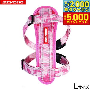 y1310Iő5000ptobNő2000~OFFN[|IzC[W[hbO EZYDOG n[lX L sNJyz `FXgv[g   ^