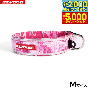 y1310Iő5000ptobNő2000~OFFN[|IzC[W[hbO EZYDOG lIJ[ M sNJ  EFbgX[cf  ^