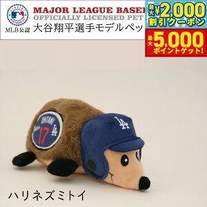 yő5000ptobNő2000~OFFN[|I15܂ŁIzMLB T[X hW[X JĕI胂f p nlY~ gC W[[O hbOgC 