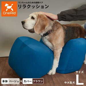 OneAid NbV Jo[Zbg L x[Wyz p  pi xbh p ^?^p