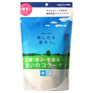 yő2000~OFFN[||Cg+5{zjbs Tvg B p 160g Tv ֐ 畆 R[Q 