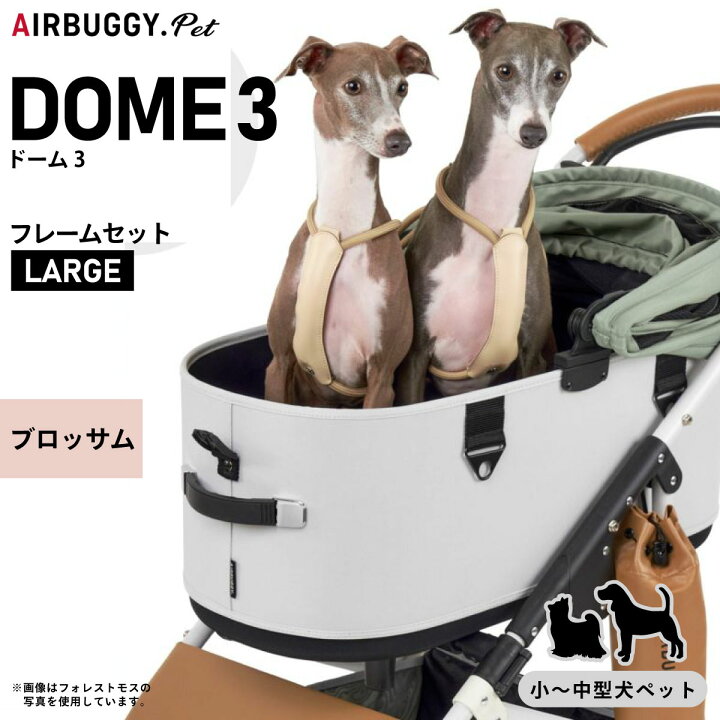 楽天市場】【店内ポイント最大43倍！6月18日！】エアバギー フォー 