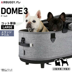 GAoM[ h[3 Rbg P [W WfjyzAIRBUGGY ybgJ[g  L