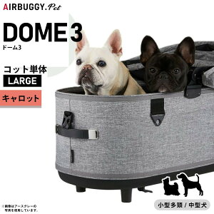 GAoM[ h[3 Rbg GAoM[ P [W LbgyzAIRBUGGY ybgJ[g  L