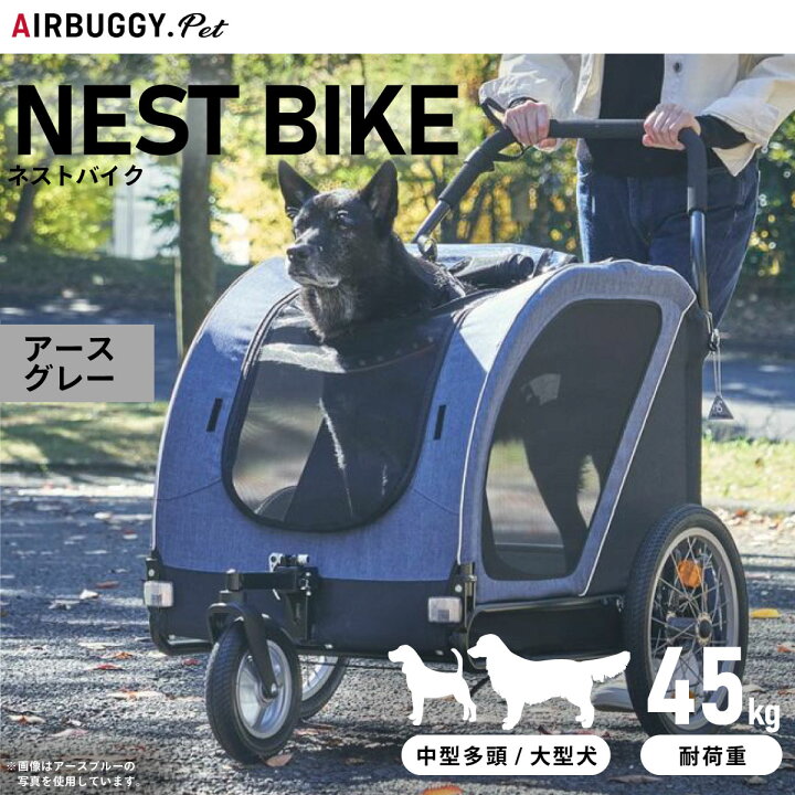 楽天市場】【店内ポイント最大41倍！本日限定！】エアバギー フォー 