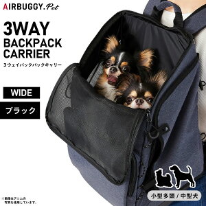 yGg[Ń|Cg+2{I{IzGAoM[ tH[ ybg 3EFCobNpbNL? M[ ubN  L ybgL[bO bN AD9071