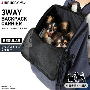 GAoM[ tH[ ybg AIRBUGGY FOR PET 3EFCobNpbNL? M[ bvXgbvlCr[  L ybgL[ L[obO bN