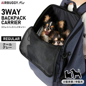 yGg[Ń|Cg+2{I{IzGAoM[ tH[ ybg AIRBUGGY FOR PET 3EFCobNpbNL[ M[ N[O[ ybgL[ @\ bN AD9079