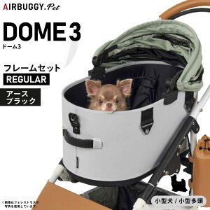 GAoM[ h[3 M[ GAoM[ u[L A[XubN AIRBUGGY ybgJ[g  L  ܂肽