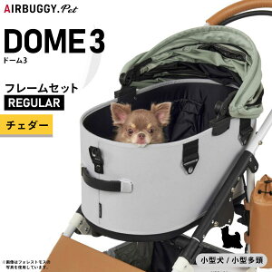 GAoM[ h[3 M[ GAoM[ u[L `F_[AIRBUGGY ybgJ[g  L  ܂肽