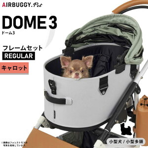 GAoM[ h[3 M[ GAoM[ u[L LbgAIRBUGGY ybgJ[g  L  ܂肽