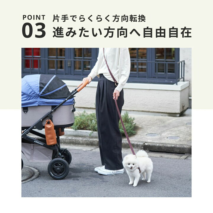 楽天市場】【店内ポイント最大39倍！本日限定！】エアバギー ドーム3 