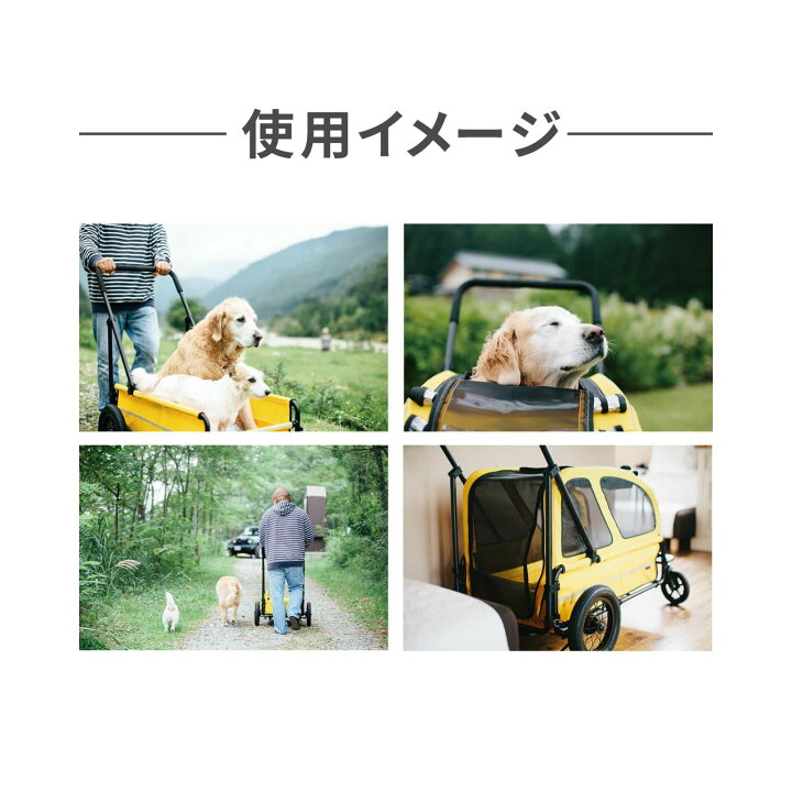 楽天市場】【店内ポイント最大42倍！本日限定！】エアバギー フォー 