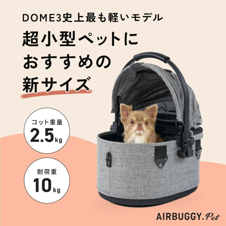 楽天市場】【店内ポイント最大41倍！本日限定！】エアバギー フォー 