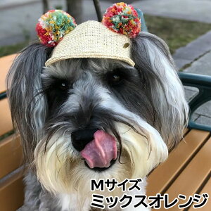 ̖Xq K[fIuGf ||܎CAP MTCY ~bNXIW