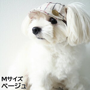 yX|Cgő43{I{Iz̖Xq K[fIuGf RbglLXPbg MTCY x[W