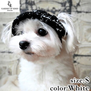 y2000~OFFN[|IX|Cgő55{I{Iz̖Xq K[fIuGf t@V[cC[hHAT S zCg