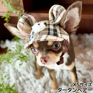 yX|Cgő44{I1130Iz̖Xq K[fIuGf xA?Lbv XS ^[^xA?yz