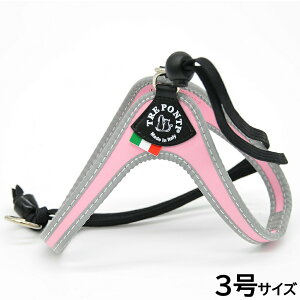 yX|Cgő46{I{Izg|eB TREPONTI x^ tNeBu ^pn[lX 3 sN