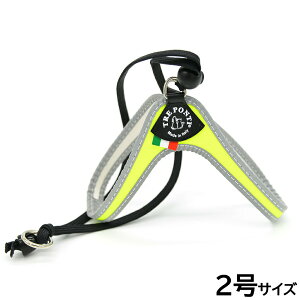 yő2000~OFFN[|I}\zg|eB TREPONTI x^ tI ^pn[lX 2 CG[