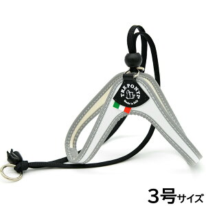 yX|Cgő46{I{Izg|eB TREPONTI x^ tI ^pn[lX 3 zCg