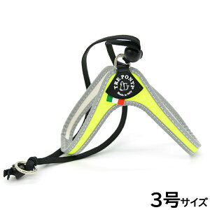 g|eB TREPONTI x^ tI ^pn[lX 3 CG[