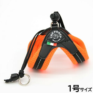 y12/5II100|CgobNő2000~OFFN[|zg|eB TREPONTI x^ \tgbV ^pn[lX 1 IW