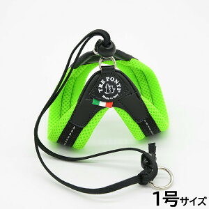 yő2000~OFFN[|I}\zg|eB TREPONTI x^ \tgbV ^pn[lX 1 O[