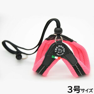 yX|Cgő46{I{Izg|eB TREPONTI x^ \tgbV ^pn[lX 3 sN