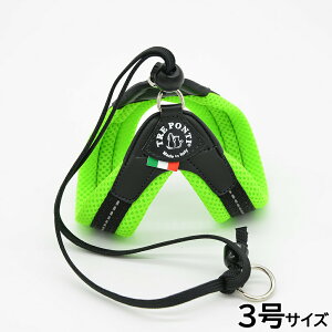 yX|Cgő46{I{Izg|eB TREPONTI x^ \tgbV ^pn[lX 3 O[