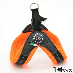 yő2000~OFFN[|I}\zg|eB TREPONTI tBbrA \tgbV ^pn[lX 1 IW