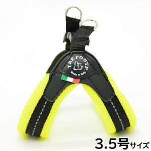 yő2000~OFFN[|I}\zg|eB TREPONTI tBbrA \tgbV ^pn[lX 3.5 CG[