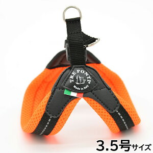 yő2000~OFFN[|I}\zg|eB TREPONTI tBbrA \tgbV ^pn[lX 3.5 IW