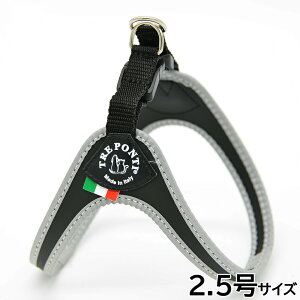 yő2000~OFFN[|I}\zg|eB TREPONTI tBbrA tNeBu ^pn[lX 2.5 ubN